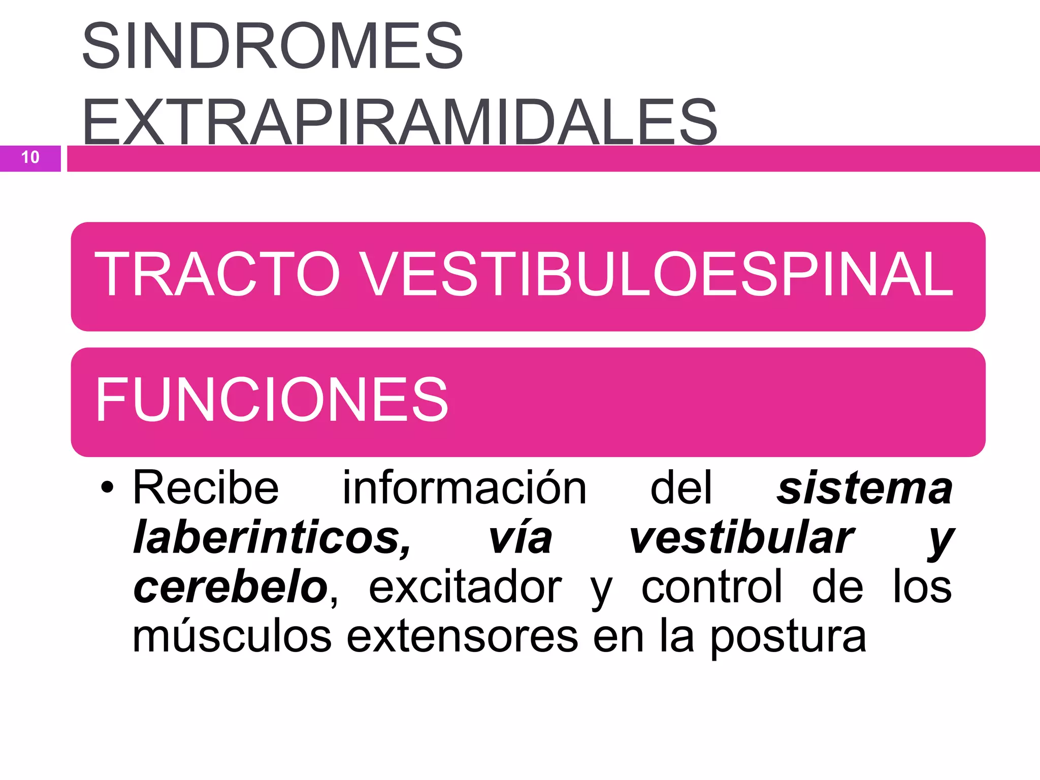 TRACTO VESTIBULOESPINAL
FUNCIONES
• Recibe información del sistema
laberinticos, vía vestibular y
cerebelo, excitador y control de los
músculos extensores en la postura
SINDROMES
EXTRAPIRAMIDALES10
 