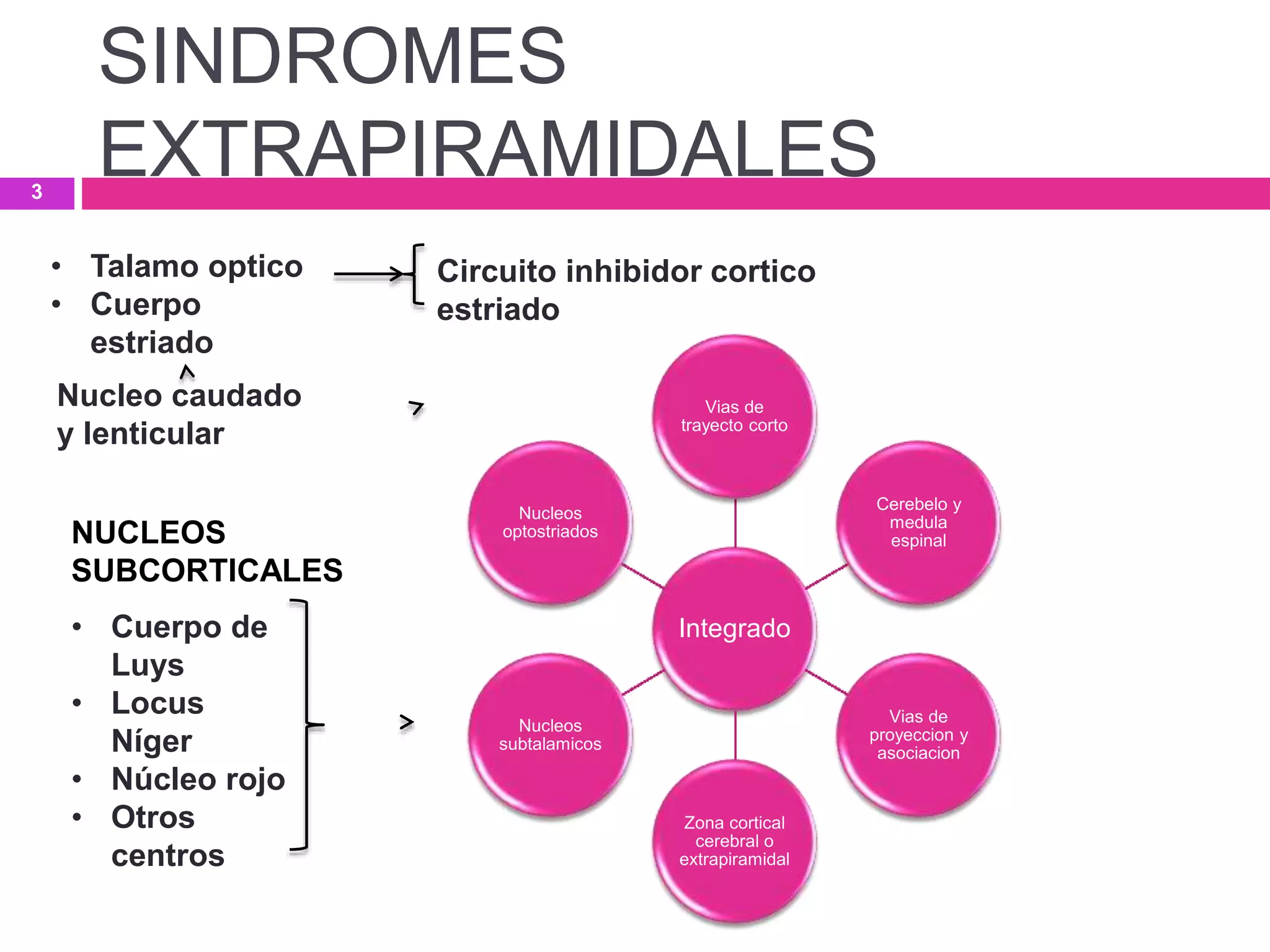 Integrado
Vias de
trayecto corto
Cerebelo y
medula
espinal
Vias de
proyeccion y
asociacion
Zona cortical
cerebral o
extrapiramidal
Nucleos
subtalamicos
Nucleos
optostriados
• Cuerpo de
Luys
• Locus
Níger
• Núcleo rojo
• Otros
centros
• Talamo optico
• Cuerpo
estriado
Nucleo caudado
y lenticular
Circuito inhibidor cortico
estriado
SINDROMES
EXTRAPIRAMIDALES3
NUCLEOS
SUBCORTICALES
 