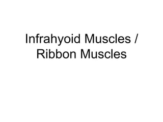 Infrahyoid Muscles /
Ribbon Muscles
 