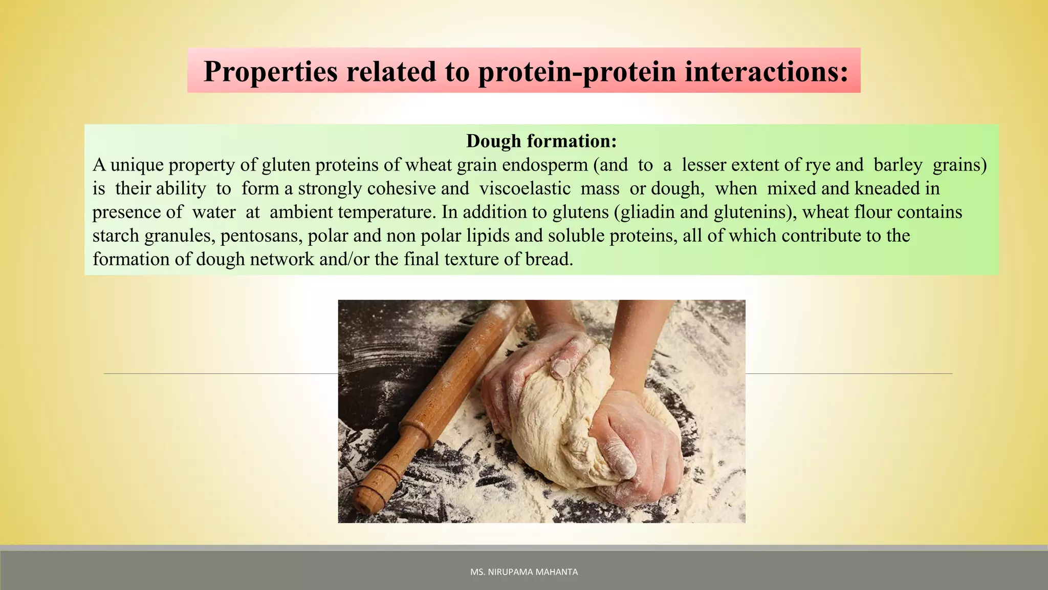 Properties related to protein-protein interactions:
Dough formation:
A unique property of gluten proteins of wheat grain endosperm (and to a lesser extent of rye and barley grains)
is their ability to form a strongly cohesive and viscoelastic mass or dough, when mixed and kneaded in
presence of water at ambient temperature. In addition to glutens (gliadin and glutenins), wheat flour contains
starch granules, pentosans, polar and non polar lipids and soluble proteins, all of which contribute to the
formation of dough network and/or the final texture of bread.
MS. NIRUPAMA MAHANTA
 