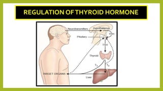 REGULATION OFTHYROID HORMONE
 