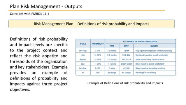 11.1 Plan Risk Management | PPT