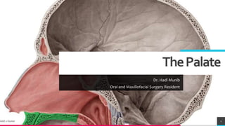 ThePalate
Dr. Hadi Munib
Oral and Maxillofacial Surgery Resident
Add a footer 1
 