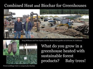 Combined Heat and Biochar for Greenhouses

Doug Williams and Tom Jopsen and the Shasta Class gasifier at Cal Forest, N. California

What do you grow in a
greenhouse heated with
sustainable forest
products? Baby trees!
Forest seedlings trials in compost plus biochar.

 