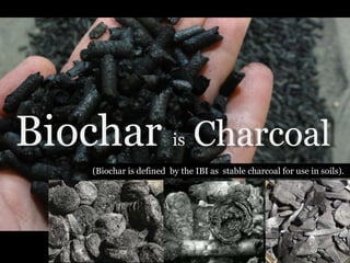 Biochar is Charcoal
(Biochar is defined by the IBI as stable charcoal for use in soils).

 