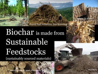 straw & stover
Forest fuel reduction tree thinning

Biochar is made from
Sustainable
Feedstocks
(sustainably sourced materials)
switchgrass & post consumer paper

manure

 