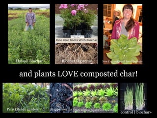 Hawaii Biochar

Biochar Supreme

New England Small Farm Institute

and plants LOVE composted char!

Peru kitchen garden

happy worms

New England Small Farm Institute

control | biochar+

 