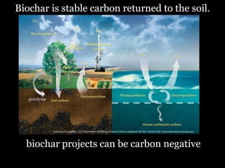 Biochar is stable carbon returned to the soil.

pyrolysis

Carbon cycle graphics U.S. Department of Energy Genomic Science program and the website http://genomicscience.energy.gov.

biochar projects can be carbon negative

 