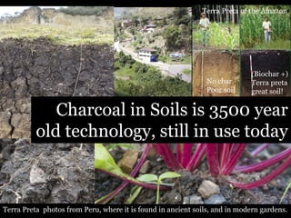 Terra Preta of the Amazon

No char
Poor soil

(Biochar +)
Terra preta
great soil!

Charcoal in Soils is 3500 year
old technology, still in use today

Terra Preta photos from Peru, where it is found in ancient soils, and in modern gardens.

 