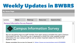 Weekly Updates in BWBRS
 