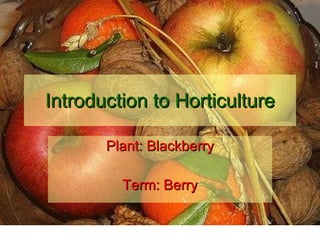 Introduction to Horticulture Plant: Blackberry Term: Berry 