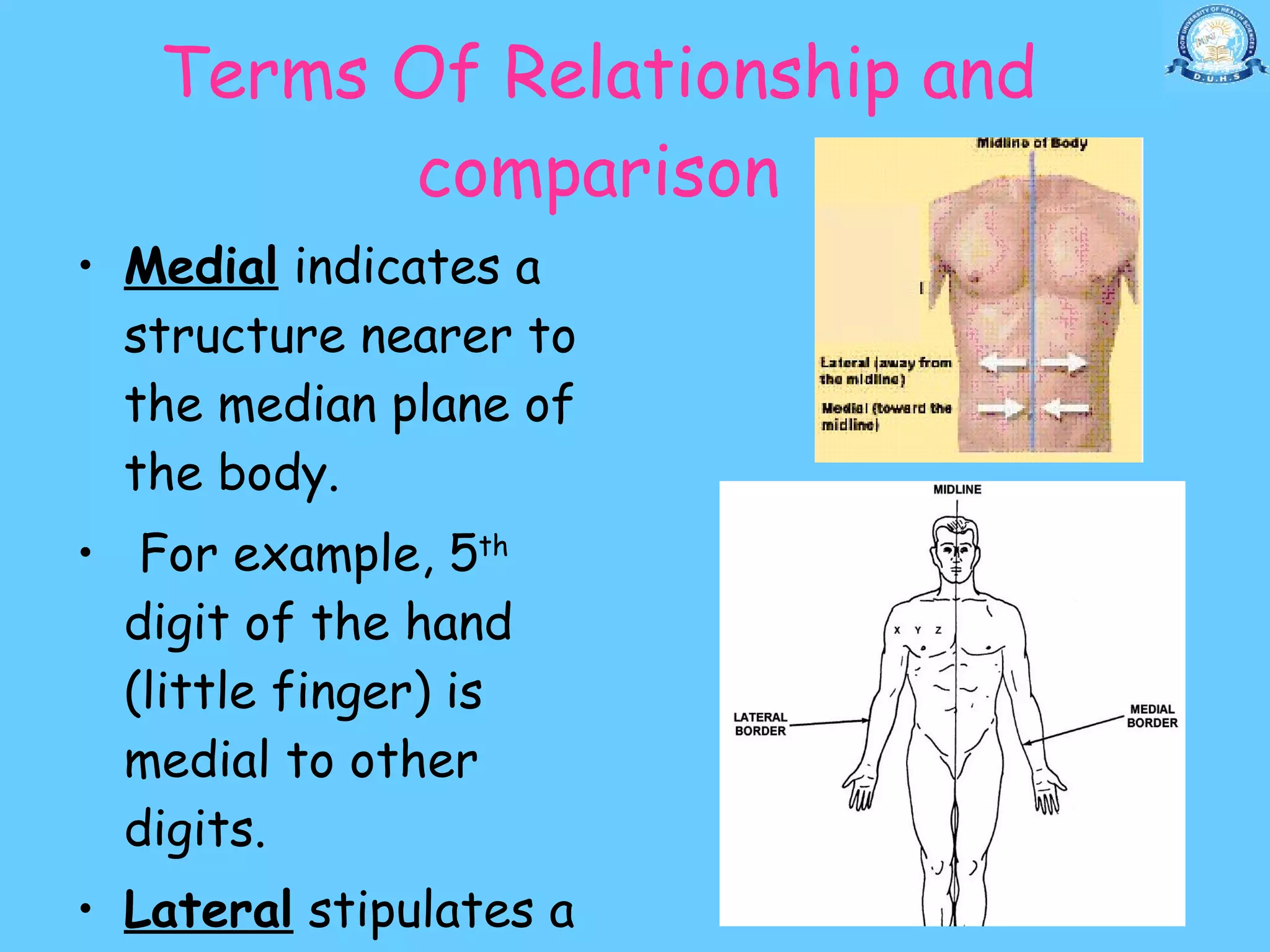11.20 (dr. nand lal) terminologies anatomical positions anatomical ...