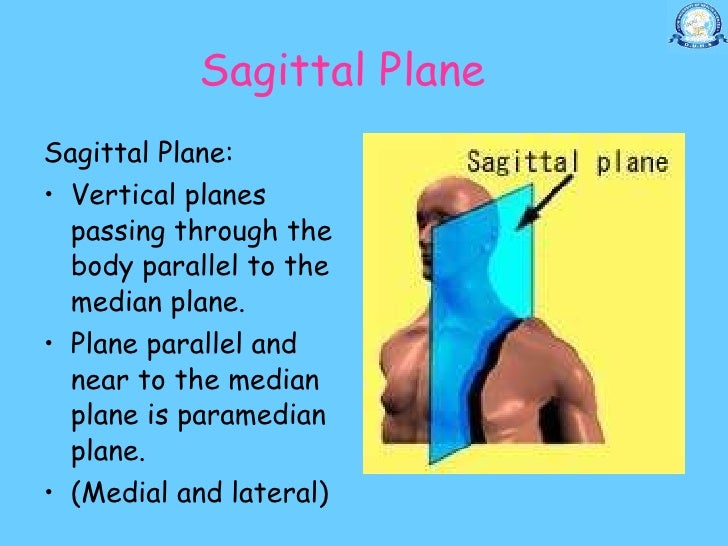 11.20 (dr. nand lal) terminologies anatomical positions anatomical pl…