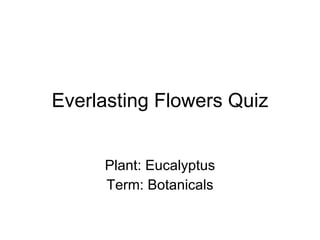 Everlasting Flowers Quiz Plant: Eucalyptus Term: Botanicals 