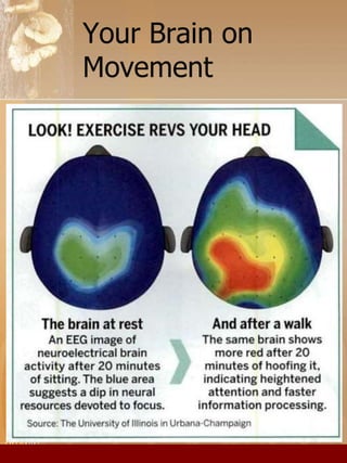 Your Brain on 
Movement 
 