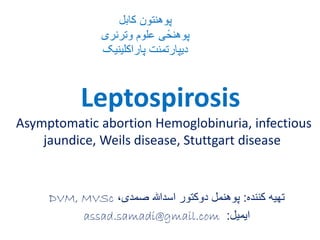 Leptospirosis
Asymptomatic abortion Hemoglobinuria, infectious
jaundice, Weils disease, Stuttgart disease
‫کننده‬ ‫تهیه‬:،‫صمدی‬ ‫اسدهللا‬ ‫دوکتور‬ ‫پوهنمل‬DVM, MVSc
‫ایمیل‬:assad.samadi@gmail.com
‫کابل‬ ‫پوهنتون‬
‫وترنری‬ ‫علوم‬ ‫ی‬ً‫پوهنح‬
‫پاراکلینیک‬ ‫دیپارتمنت‬
 