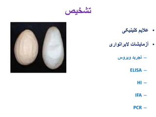 11. egg drop syndrome