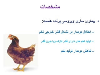 11. egg drop syndrome