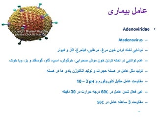 11. egg drop syndrome