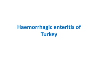 11. haemorrhagic enteritis of turkey
