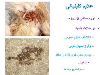 11. haemorrhagic enteritis of turkey