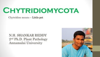Chytridiomycota
Chytridion means – Little pot
N.H. SHANKAR REDDY
2nd Ph.D. Plant Pathology
Annamalai University
 