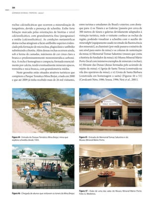 384
GEOPARQUES DO BRASIL / PROPOSTAS · volume I
entre turistas e estudantes do Brasil e exterior, com desta-
que para: i) os Túneis e as Galerias [passeio por cerca de
300 metros de túneis e galerias devidamente adaptados à
visitação turística, onde o visitante conhece as rochas da
região, podendo visualizar a scheelita com o auxílio do
mineralight(equipamentousadonoestudodafluorescência
dosminerais)],aschaminés(porondepassavaominériode
um nível para outro da mina) e as colunas de sustentação
da mina; ii) Memorial Tomaz Salustino (museu que conta
a história do fundador da mina); iii) Museu Mineral Mário
Porto(localcominúmerosexemplosdemineraiserochas);
iv) Mirante das Dunas (dunas formadas pelo acúmulo de
rejeito da mina); v) Igreja de Santa Tereza (construída na
vila dos operários da mina); e vi) Gruta de Santa Bárbara
(construída em homenagem a santa) (Figuras 44 a 51)
(Cavalcanti Neto, 1986; Souza, 1996; Nesi et al., 2001).
Figura 44 - Entrada do Parque Temático Mina Brejuí, mina que
explora scheelita desde 1943.
rochas calcissilicáticas que ocorrem a mineralização de
tungstênio, devido a presença de scheelita. Exibe forte
foliação marcada pelas orientações de biotitas e nível
calciossilicático, com granulometria fina (paragnaisse)
a média (calciossilicática). As condições metamórficas
destasrochasatingiramafáciesanfibolitosuperioreviden-
ciadapelaformaçãodemicroclina,plagioclásioeanfibólio
substituindo a biotita. Além dessas rochas ocorrem ainda,
sob a forma de camadas, mármores de cor cinza clara a
branca e predominantemente monominerálica carboná-
tica. A rocha é homogênea e compacta, formada essencial-
mente por calcita, tendo eventualmente minerais opacos,
tremolita e mica branca, com granulometria média.
Neste geossítio estão situados atrativos turísticos que
compõem o Parque Temático Mina Brejuí, criado em 2000
e que até 2009 já tinha recebido mais de 26 mil visitantes,
Figura 45 - Entrada do Memorial Tomaz Salustino e do
Museu Mineral Mário Porto.
Figura46- Chegada de alunos que visitaram os túneis da Mina Brejuí.
Figura 47 - Visão de uma das salas do Museu Mineral Mário Porto.
Foto: G. Medeiros.
 