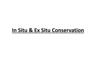 In Situ & Ex Situ Conservation
 