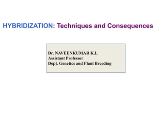 Dr. NAVEENKUMAR K.L
Assistant Professor
Dept. Genetics and Plant Breeding
HYBRIDIZATION: Techniques and Consequences
 
