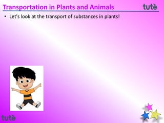 11. 7th CBSE - Transportation in Plants and Animals
