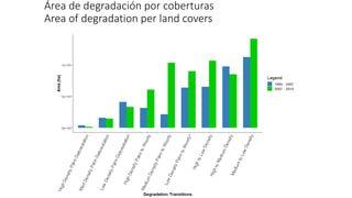 Characterizing and Assesing Palm Swamp Degradation in the Peruvian Amazon