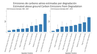 Characterizing and Assesing Palm Swamp Degradation in the Peruvian Amazon
