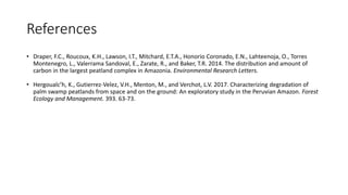 Characterizing and Assesing Palm Swamp Degradation in the Peruvian Amazon