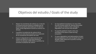 Characterizing and Assesing Palm Swamp Degradation in the Peruvian Amazon