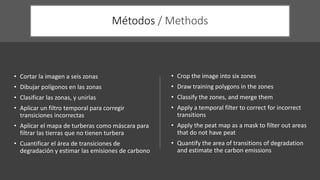 Characterizing and Assesing Palm Swamp Degradation in the Peruvian Amazon