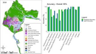 Characterizing and Assesing Palm Swamp Degradation in the Peruvian Amazon