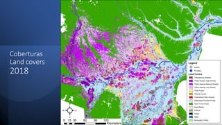 Characterizing and Assesing Palm Swamp Degradation in the Peruvian Amazon