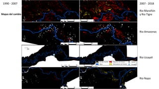 Characterizing and Assesing Palm Swamp Degradation in the Peruvian Amazon