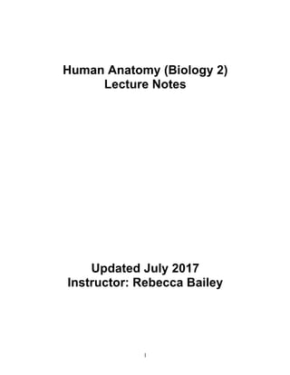 1
Human Anatomy (Biology 2)
Lecture Notes
Updated July 2017
Instructor: Rebecca Bailey
 