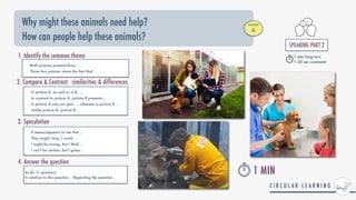 Why might these animals need help?
How can people help these animals?
3. Speculation
It seems/appears to me that ...


They might /may / could ...


I might be wrong, but I think ...


I can't be certain, but I guess..
Both pictures present/show …


These two pictures share the fact that...
1. Identify the common theme
In picture A, as well as in B, ….


In contrast to picture A, picture B presents...


In picture A one can spot ..., whereas in picture B ...


Unlike picture A, picture B ...
2. Compare & Contrast: similarities & differences
As for (+ question)
 
In relation to the question... Regarding the question...
4. Answer the question
STUDENT


A
SPEAKING PART 2


1 min long turn


+ 30 sec comment
1 MIN
 