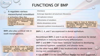 FUNCTIONS OF BMP
It regulates various
mesenchymal/osteoblasti
c activities like the
following:
Chemotaxis
Anchorage-dependent cell attachment (fibronectin)
Cell replication (mitosis)
Differentiation of osteoblasts
Alkaline phosphatase activity
Osteocalcin synthesis/mineralization[10]
BMPs also play a critical role in
tooth morphogenesis.
BMPs 2, 4, and 7 are expressed in dental epithelium.
Recombinant BMPs 2 and 4 can be used as a substitute for dental
epithelium in inducing mesenchyme differentiation.
BMP-3 and BMP-7 have been “immune” localized to developing
periodontal ligament, cementum, and alveolar bone.
On the other hand, BMP-2 was localized only in alveolar bone
during root morphogenesis.
A role of BMP-3 in the cementoblast lineage has been suggested
Reference: Wozney JM. The potential role of
bone morphogenetic proteins in periodontal
reconstruction. J Periodontol. 1995
Jun;66(6):506-10. doi:
10.1902/jop.1995.66.6.506. PMID:
7562340.
Reference: Hughes FJ, Turner W, Belibasakis G,
Martuscelli G. Effects of growth factors and cytokines
on osteoblast differentiation. Periodontol 2000.
2006;41:48-72. doi: 10.1111/j.1600-
0757.2006.00161.x. PMID: 16686926.
Reference: Wozney JM. The potential role of bone
morphogenetic proteins in periodontal
reconstruction. J Periodontol. 1995 Jun;66(6):506-
10. doi: 10.1902/jop.1995.66.6.506. PMID:
7562340.
 