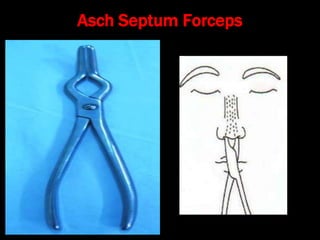 Asch Septum Forceps
 