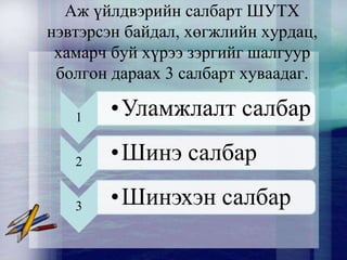 Аж үйлдвэрийн салбарт ШУТХ
нэвтэрсэн байдал, хөгжлийн хурдац,
хамарч буй хүрээ зэргийг шалгуур
болгон дараах 3 салбарт хуваадаг.
1 •Уламжлалт салбар
2 •Шинэ салбар
3 •Шинэхэн салбар
 