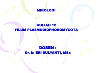 MIKOLOGI
KULIAH 12
FILUM PLASMODIOPHOROMYCOTA
DOSEN :
Dr. Ir. ERI SULYANTI, MSc
 