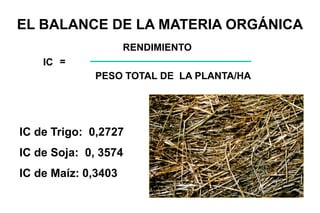 EL BALANCE DE LA MATERIA ORGÁNICA
PESO TOTAL DE LA PLANTA/HA
IC de Trigo: 0,2727
IC de Soja: 0, 3574
IC de Maíz: 0,3403
IC =
RENDIMIENTO
 