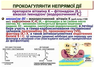 ПРОКОАГУЛЯНТИ НЕПРЯМОЇ ДІЇ
препарати вітаміна К – фітонадіон (К1),
вікасол /менадіон/ (водорозчинний К3)
механізм дії – жиророзчинний вітамін К (доб.потр.=100
мкг): нафтохінони К1-К7 (К1 – фітонадіон в їжі (зелене листя
овочів), К2 - менахінон синтезується флорою кишечника
людини; К3 - менадіон, синтетичний водорозчинний); в печінці
бере участь в гамма-карбоксилювання глутамінової
залишків протромбіну (II), проконвертину (VII),
фактора IX і Х, а також антикоагулянтних ендогенних
белків S і С. Ці залишки (домени) необхідні для переходу цих
факторів в активний стан (пов'язувати кальцію і прикріплятися
до фосфоліпідів)
Va
Xa II
K1
K2
EGF2
EGF1
гамма-карбоксиглутами-
новый остаток (Gla)
Gla-
домен
 