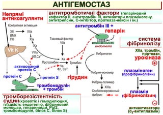 АНТІГЕМОСТАЗ
антитромбін III +
ендотелій
гепарін
протеїн S
протеїн С
тромбомодулін
+ тромбін
антитромботичні фактори (гепаріновий
кофактор II, антитромбін III, активатори плазміногену,
антитрипсин, С-інгібітор, протеаза-нексін і ін.)
тромборезістентність
судин(кровотік і гемодилюция,
гладкість ендотелію, фібриновий
моношар, гепариноїди, РgI2,
тромбомодулін, білок С, білок S)
система
фібринолізу
плазміноген
(профібринолізин)
плазмін
(фібринолізин)
XIIa, тромбін,
протеази,
урокіназa
антиактиватори
(α2-aнтиплазмін)
+
-
Vit K
Непрямі
антикоагулянти
активований
протеїн С
гірудин
 