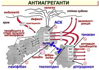 АНТИАГРЕГАНТИ
тиклопідил
ендотелій стінка судини
дефект
колаген
кров
тромбоцити в
стадії вузького
метаморфоза
активація
тромбоцитів
тромбін
фібри-
ноген
вазоконст-
рикція
АСК
простациклін
IIa/IIIb
ФАТ
ламіфібан діпірідамол
танакан
-
-
-
-
-
-
 