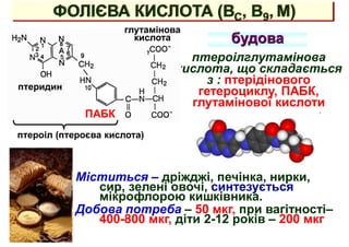 ФОЛІЄВА КИСЛОТА (ВС, В9, М)
птероілглутамінова
кислота, що складається
з : птерідінового
гетероциклу, ПАБК,
глутамінової кислоти
будова
Міститься – дріжджі, печінка, нирки,
сир, зелені овочі, синтезується
мікрофлорою кишківника.
Добова потреба – 50 мкг, при вагітності–
400-800 мкг, діти 2-12 років – 200 мкг
ПАБК
птеридин
глутамінова
кислота
птероіл (птероєва кислота)
 