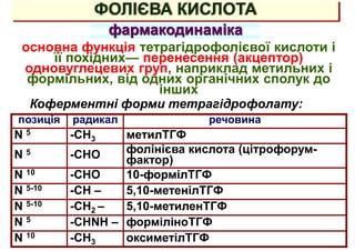ФОЛІЄВА КИСЛОТА
фармакодинаміка
основна функція тетрагідрофолієвої кислоти і
її похідних— перенесення (акцептор)
одновуглецевих груп, наприклад метильних і
формільних, від одних органічних сполук до
інших
позиція радикал речовина
N 5 -CH3 метилТГФ
N 5 -CHO фолінієва кислота (цітрофорум-
фактор)
N 10 -CHO 10-формілТГФ
N 5-10 -CH – 5,10-метенілТГФ
N 5-10 -CH2 – 5,10-метиленТГФ
N 5 -CHNH – форміліноТГФ
N 10 -CH3 оксиметілТГФ
Коферментні форми тетрагідрофолату:
 